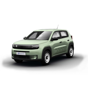 GRANDE PANDA Benzina Business